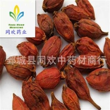 【福建栀子】@【同欢药材】中药材批发供应规格齐全