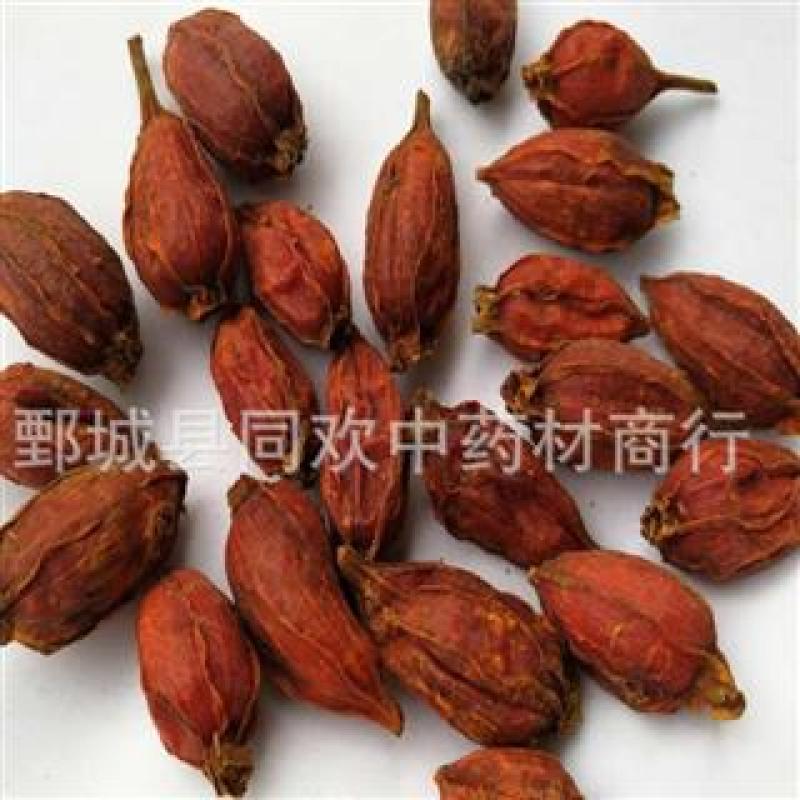 【福建栀子】@【同欢药材】中药材批发供应规格齐全