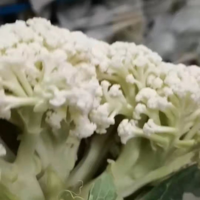 有机菜花，小米花，有机花菜，有机花，菜花