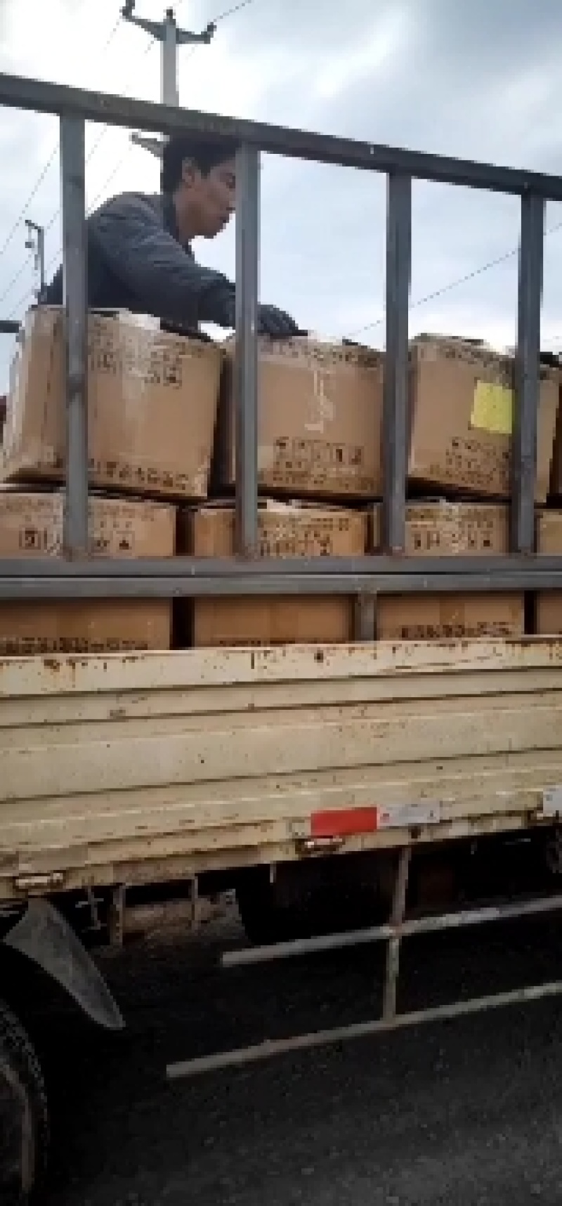大量出售沙土地烟薯25烤薯软糯香甜中块可做微商电商
