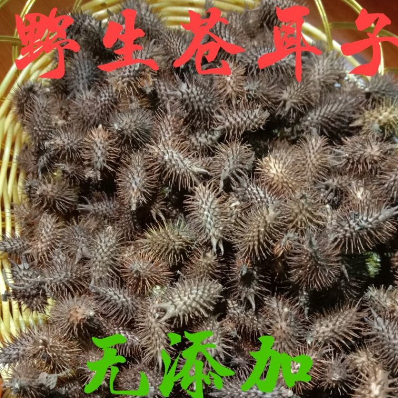 中药材苍耳子，货真价实，无添加，无残留，不是人工种植
