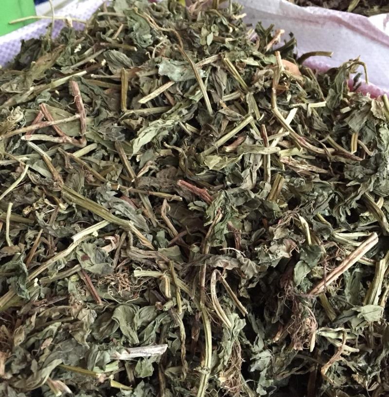 灵香草零香草零陵香灵草香料调料卤肉料中药材火锅料