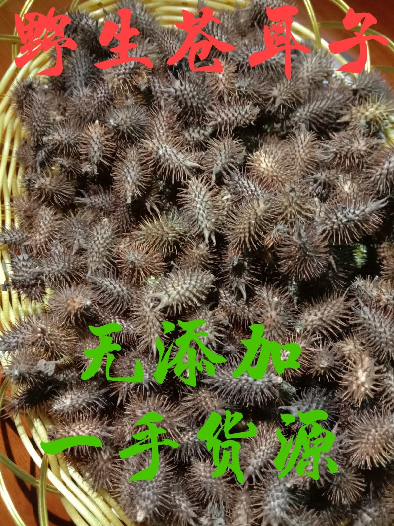 中药材苍耳子，货真价实，无添加，无残留，不是人工种植
