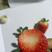 草莓精品山东草莓一手货源产地直发精美包装一件代发