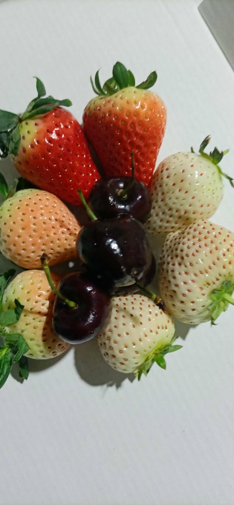 草莓精品山东草莓一手货源产地直发精美包装一件代发