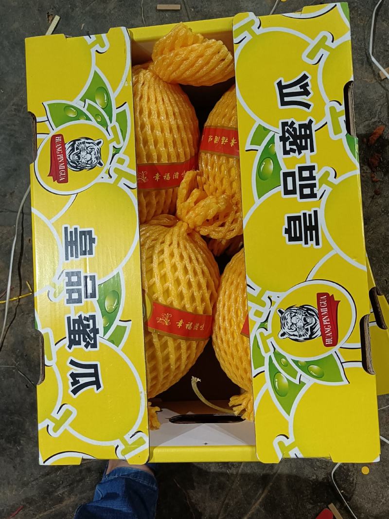 海南金香玉，凤金6号上市中承接超市电商一件代发及市场供货