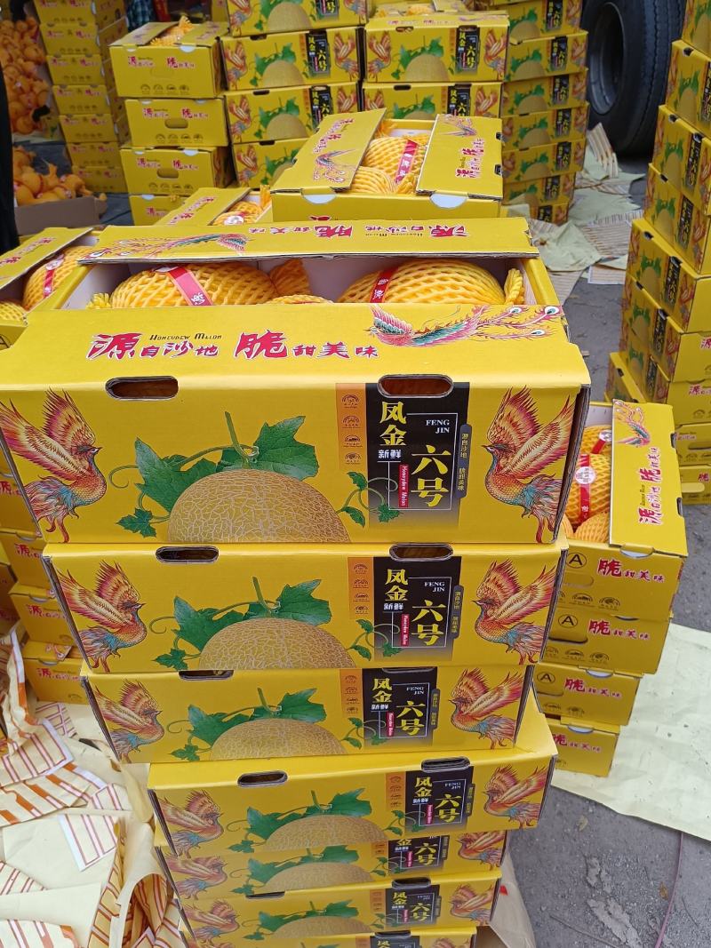 海南金香玉，凤金6号上市中承接超市电商一件代发及市场供货