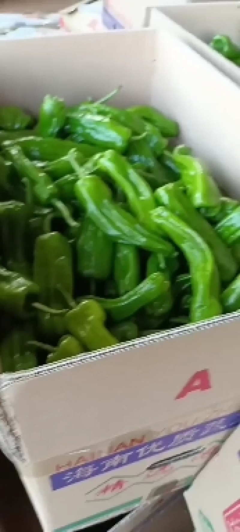 芜湖椒广东精选芜湖椒大量上市价格优惠质量保证诚信合作！