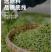 茉莉花茶2024新茶浓香型贵州毛峰牛皮袋高山云雾茶花香