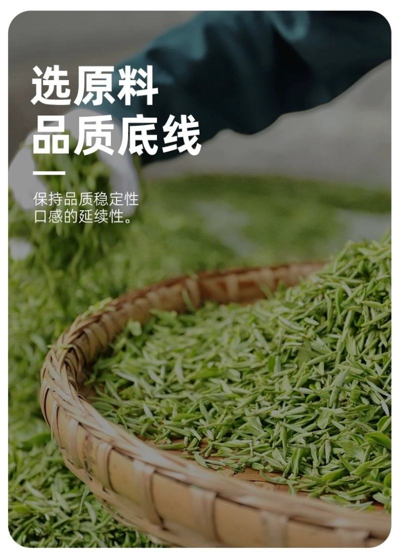 茉莉花茶2024新茶浓香型贵州毛峰牛皮袋高山云雾茶花香