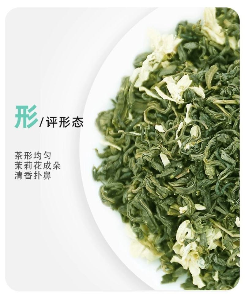 茉莉花茶2024新茶浓香型贵州毛峰牛皮袋高山云雾茶花香