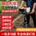 五羊本田四冲程地钻机大功率进口挖坑农用汽油机钻孔打桩挖坑