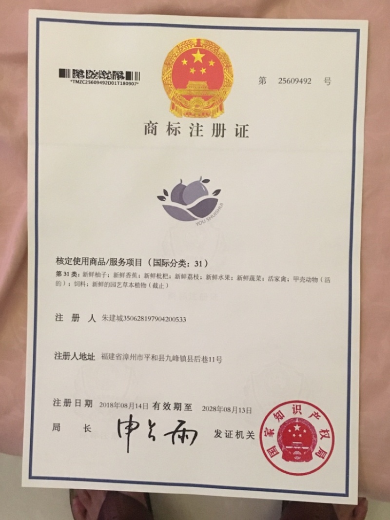 茂谷柑（福建省漳州市平和县茂谷柑口感清甜爽口）