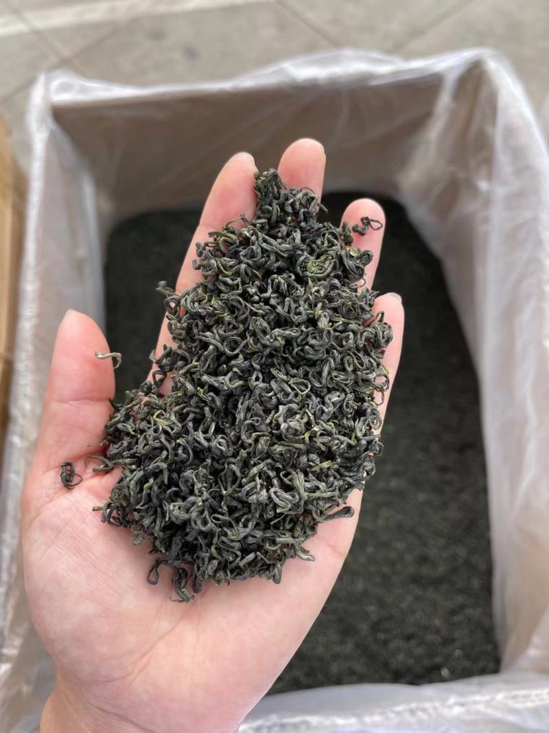 2024新茶茶春茶毛峰散装贵州茶叶毛尖茶浓香型