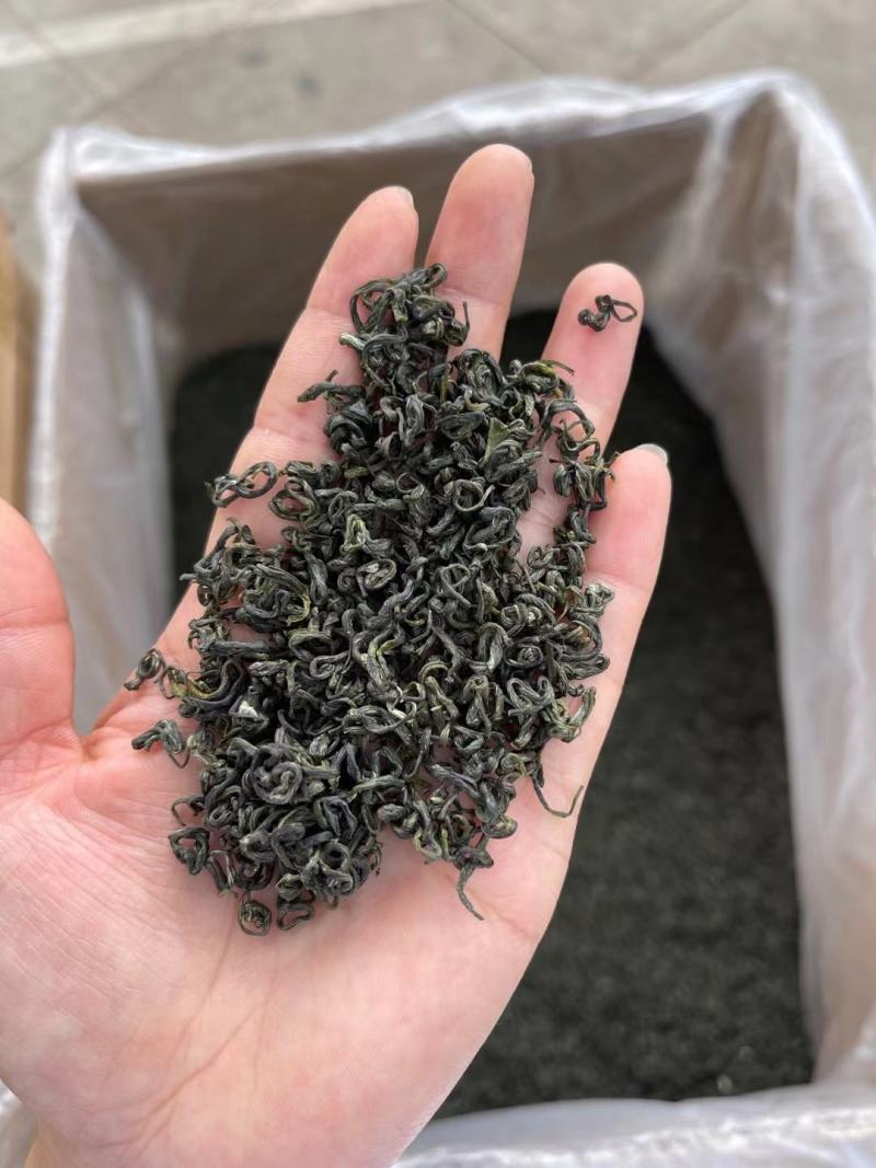 2024新茶茶春茶毛峰散装贵州茶叶毛尖茶浓香型