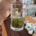 2024新茶茶春茶毛峰散装贵州茶叶毛尖茶浓香型