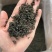 2024新茶茶春茶毛峰散装贵州茶叶毛尖茶浓香型