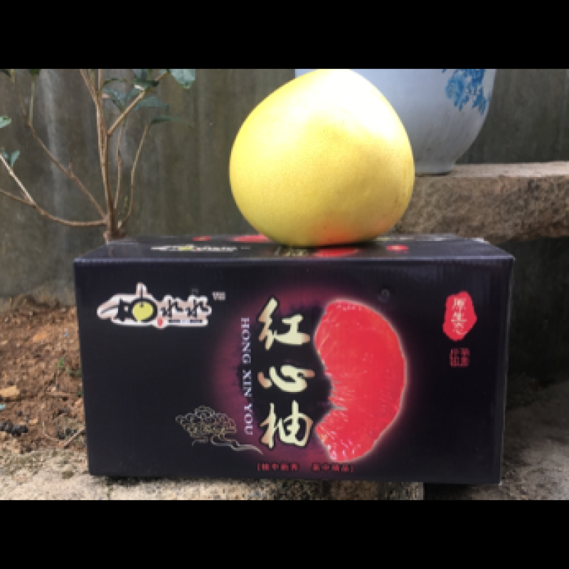 琯溪蜜柚（福建省漳州市平和县琯溪蜜柚口感清甜）