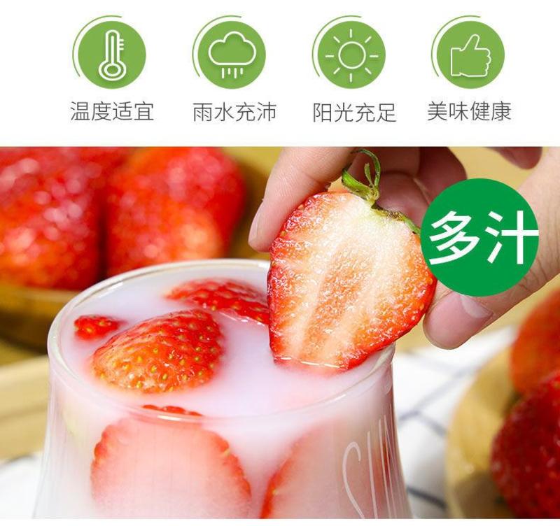 九九草莓奶油草莓推荐好吃的绿色食品