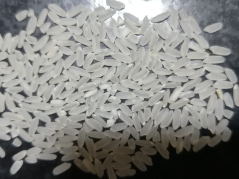 黑龙江长粒香米，香味大，米质好，质量嘎嘎好