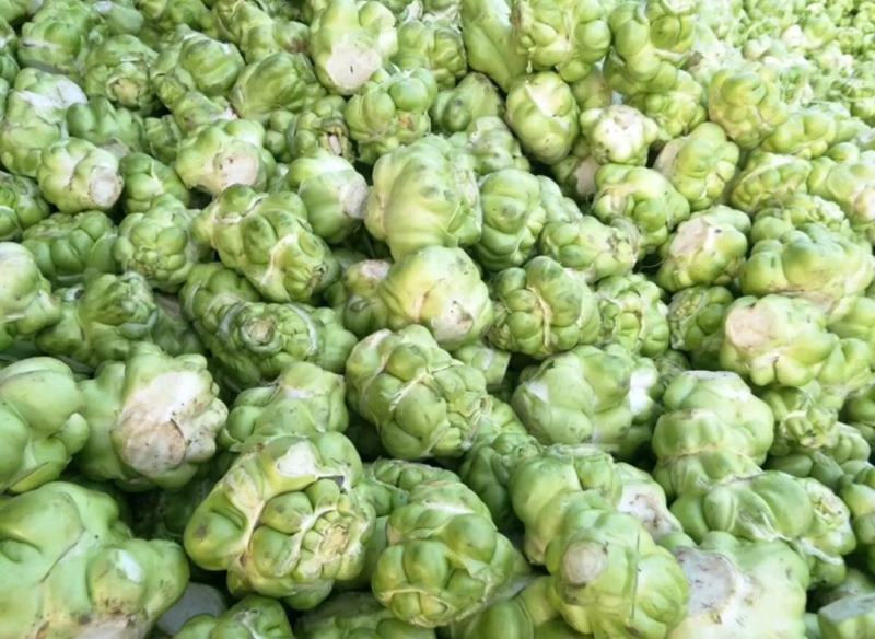 基地种植涪陵榨菜榨菜鲜榨菜工厂榨菜榨菜