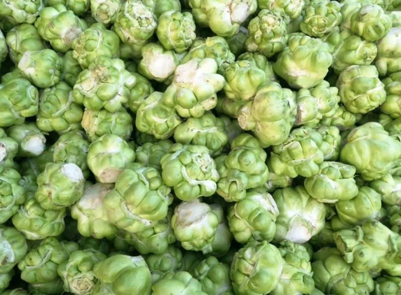 基地种植涪陵榨菜榨菜鲜榨菜工厂榨菜榨菜
