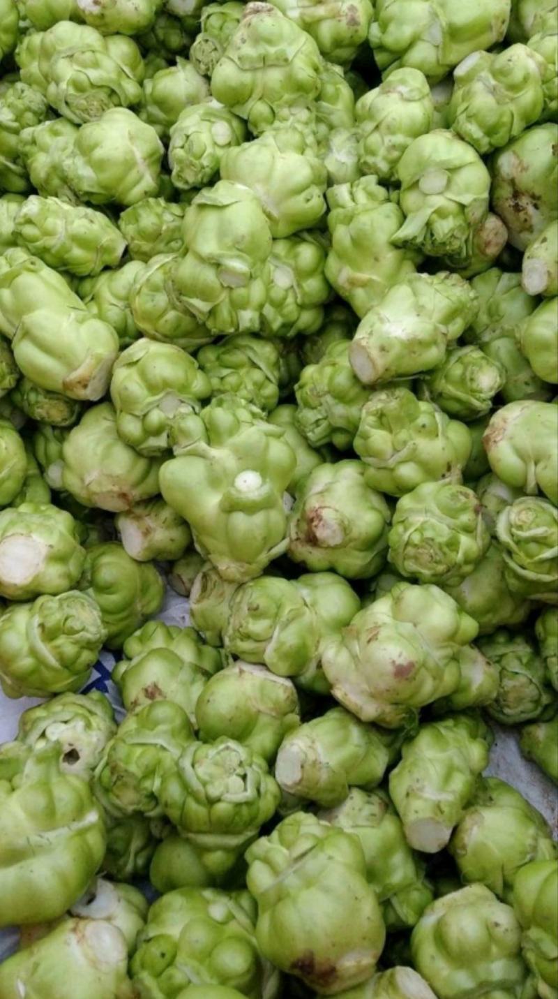 基地种植涪陵榨菜榨菜鲜榨菜工厂榨菜榨菜