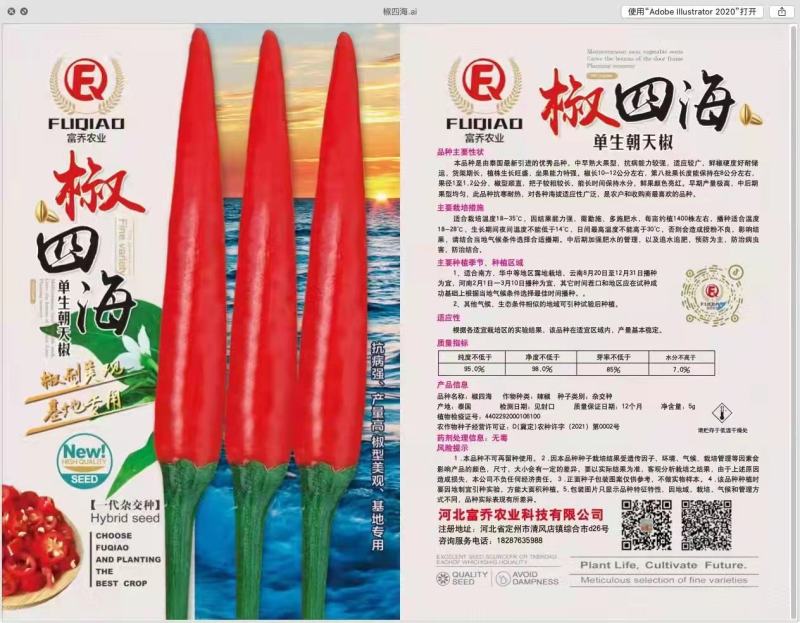 椒四海朝天椒种子，中早熟大果型，生长旺盛