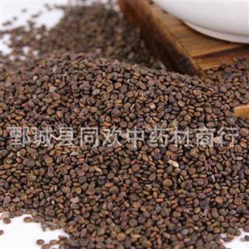 【水洗沙苑子】@【同欢药材】中药材批发供应规格齐全
