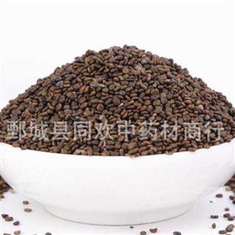 【水洗沙苑子】@【同欢药材】中药材批发供应规格齐全