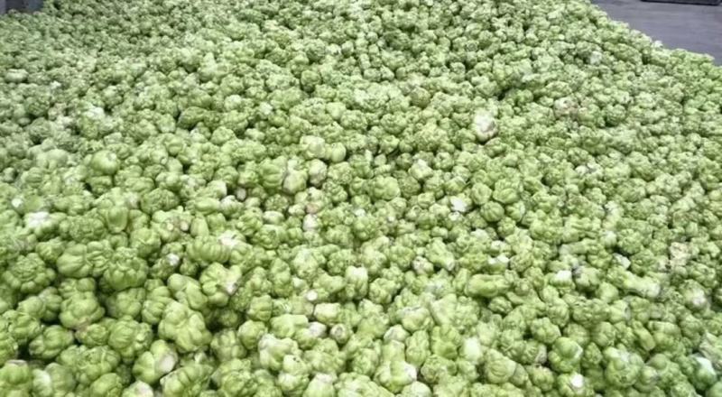 四川榨菜涪陵榨菜自产自需要的朋友赶快联系大垮价