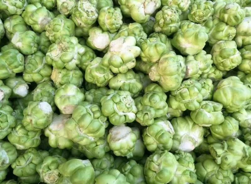 四川榨菜涪陵榨菜自产自需要的朋友赶快联系大垮价