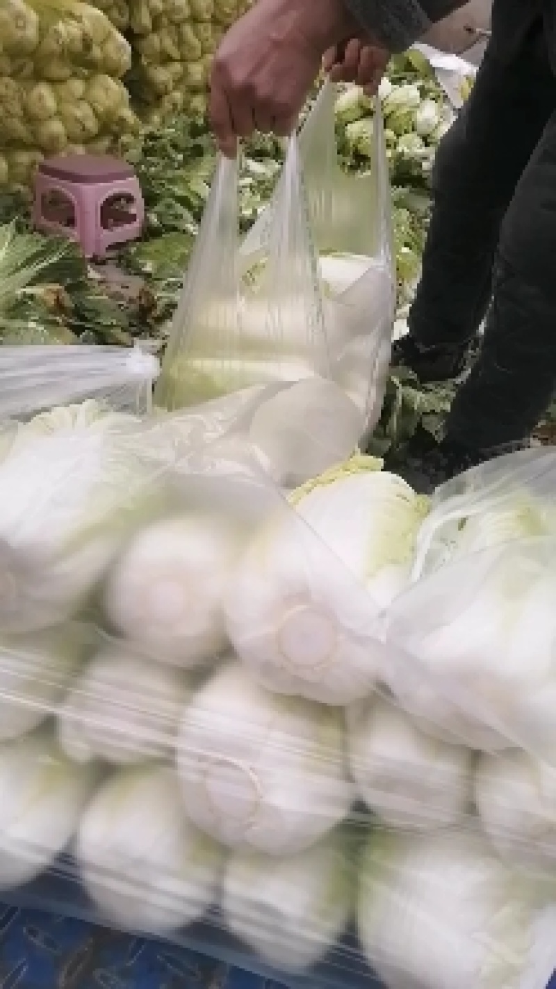 娃娃菜大量上中，毛菜淨菜精品娃娃菜大量有货