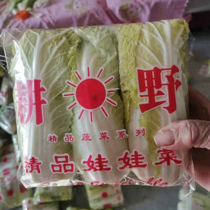 娃娃菜大量上中，毛菜淨菜精品娃娃菜大量有货