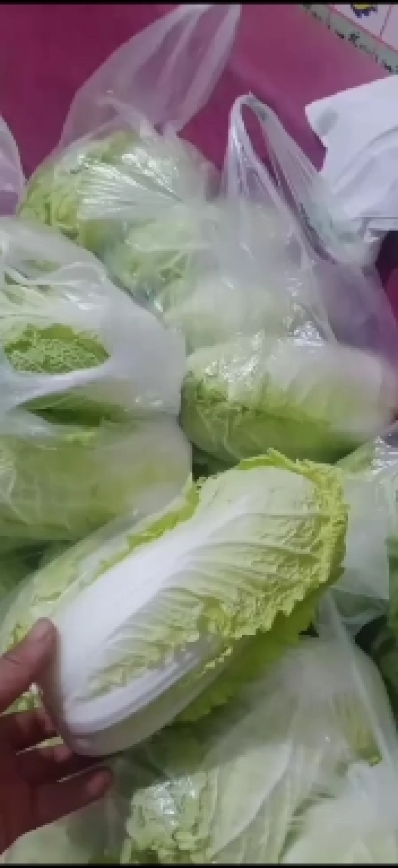 娃娃菜大量上中，毛菜淨菜精品娃娃菜大量有货
