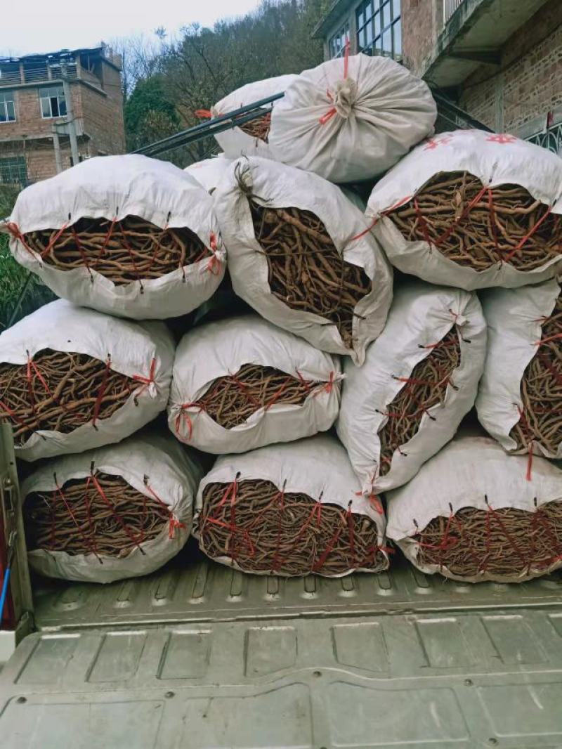 优质通草根，产地直供，货源充足，量大丛优，全国代发
