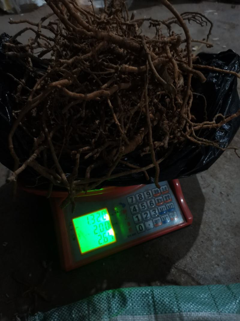 优质通草根，产地直供，货源充足，量大丛优，全国代发