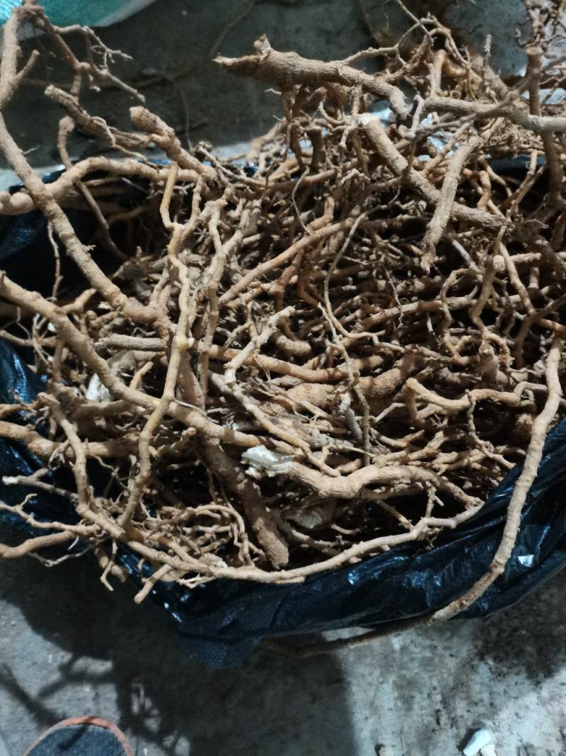 优质通草根，产地直供，货源充足，量大丛优，全国代发