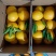 脐橙