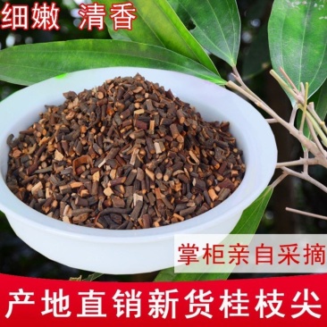 【桂枝尖】中药材无硫桂枝尖肉桂树桂枝尖手选货嫩桂枝尖包邮
