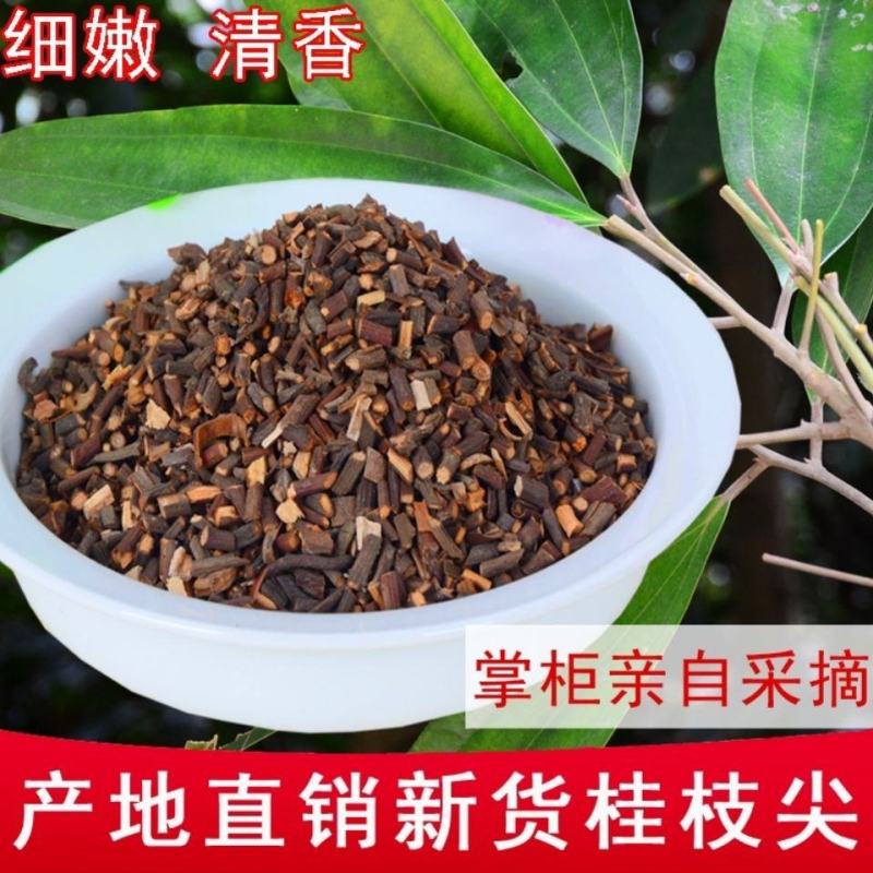 【桂枝尖】中药材无硫桂枝尖肉桂树桂枝尖手选货嫩桂枝尖包邮