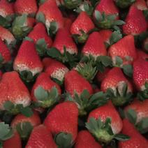 本地草莓大量上市