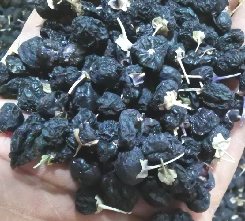 （包邮）黑枸杞，沙漠环境生长含花青素高，