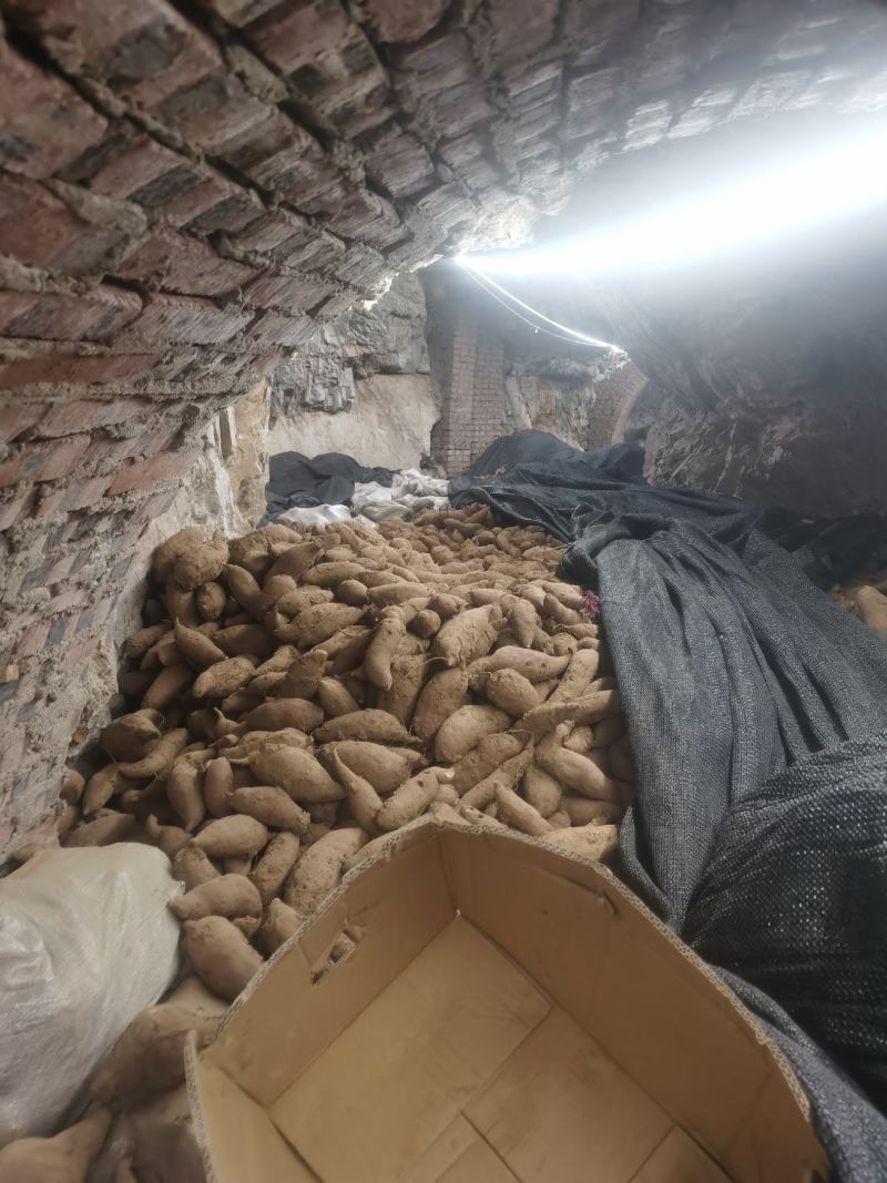 西瓜红大量供应产地批发价格实惠可以视频看货