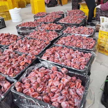 广西柿饼吊饼，柿饼广西大量上市有货圆饼柿饼吊饼辣椒柿饼