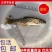 军鱼鱼优质军鱼苗青竹鲩鱼光倒刺鲃鱼光鱼河坚，青波鱼苗倒