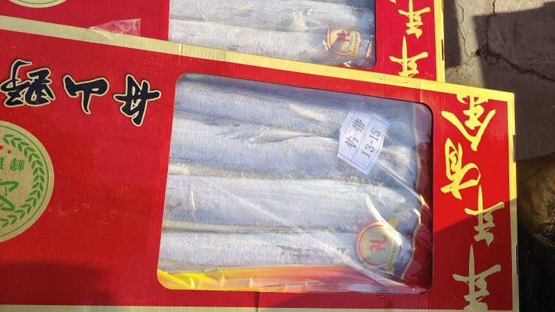 精品带鱼厂家直发包装齐全按需包装量大优惠