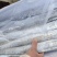 精品带鱼厂家直发包装齐全按需包装量大优惠