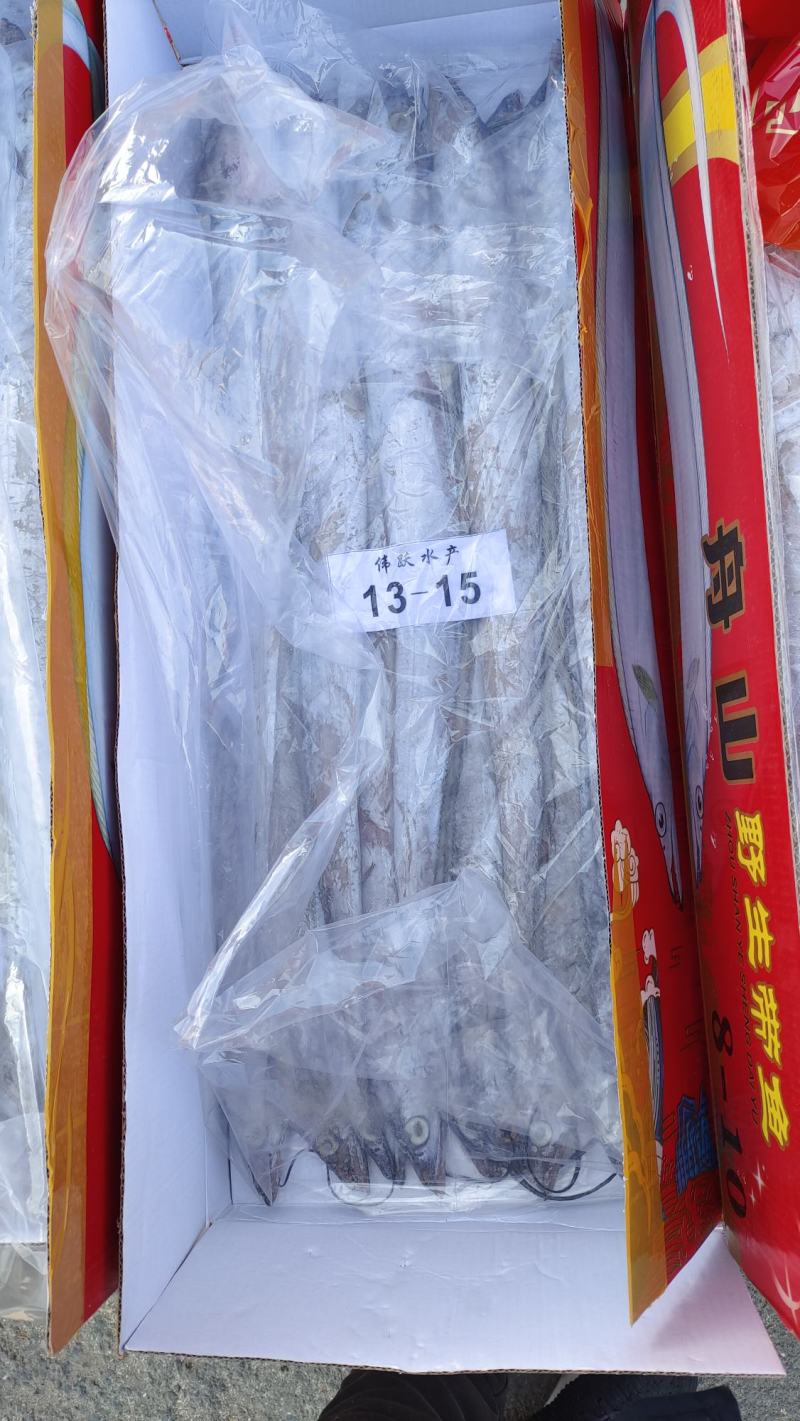 精品带鱼厂家直发包装齐全按需包装量大优惠