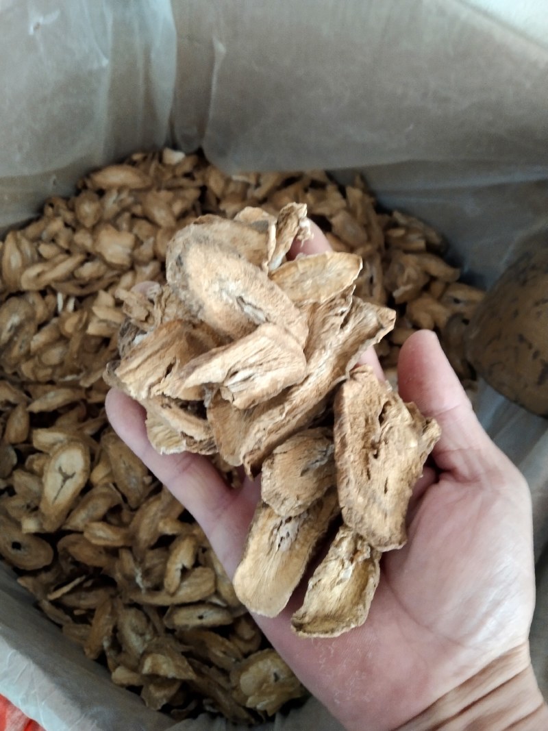 包邮新货精品牛蒡茶大片无粉沫纯无硫天然晒干颜色好批零兼营